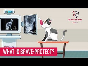 Brave-Protect: Pet Accident Benefit