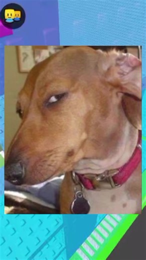 fim do Roblox? #roblox #robloxrant