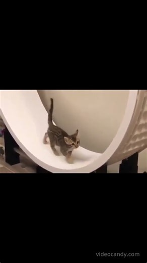 Alternative Energy Proposal | A Sustainable Future Plan