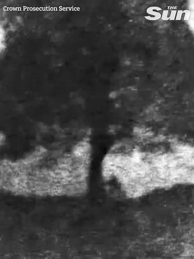 Dramatic night time video shows moment iconic Sycamore Gap tree ‘chopped down