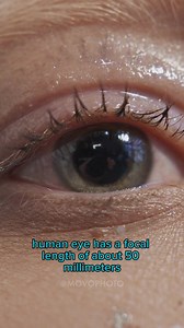 Let's talk FOCAL LENGTHS  Focal length is the distance from the center of the lens to the imaging point (focal plane) where the light for the image is collected. Different focal lengths can significantly alter the perspective and potential distortion of your subject. | Movo | Facebook