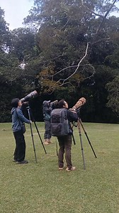 893 reactions · 27 comments | Bird photography tours in Papua New Guinea  www.newguineanaturaltours.com.pg WhatsApp #:+67576880978 | Daniel Wakra | Facebook