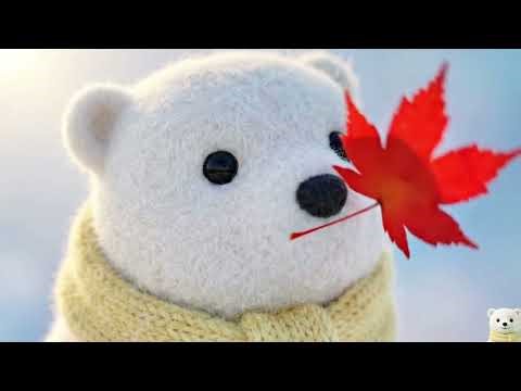 Visual Tracking for Toddlers 👀 Low Stimulation Sensory Video | Pofu & The Red Leaf