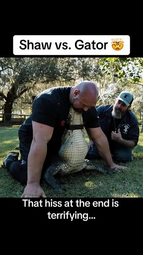 Brian Shaw learned how to wrestle an alligator. Looks like his MMA training is going well‼️ #gym #gymtok #bodybuilding #powerlifting #strongman #lifting #lifttok #brianshaw #eddiehall