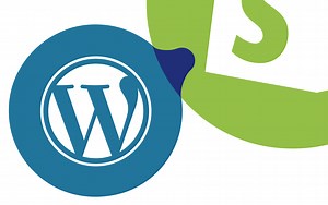 Migrate Blog Posts and Pages from WordPress to Shopify - Matrixify App