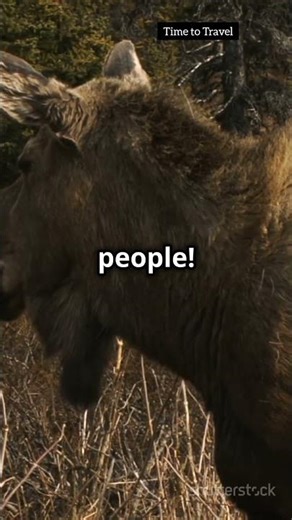 Clark's point ak | 7 best places | best places to live in the us #clark #alaskanature #travelalaska