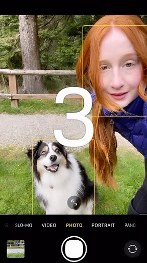 Mary, Secret, & Promise on Instagram: "I think it’s fair to say Secret won this one.. I can’t believe I lost so badly, but this was SO much fun! Secret loves regular hide and seek, so she really had the time of her life with this challenge❤️ The idea is to hide before the picture is taken well staying in the frame  #hideandseekchallenge"