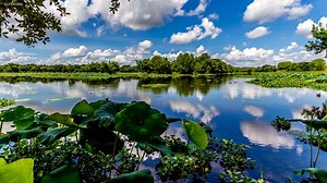 New study shows effects of social distancing in 46 countries