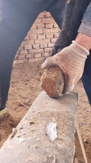 13K views · 45 reactions | Unwind and Explore with Donkey Hoof Care in Rural Areas  | A. Gatess | Facebook