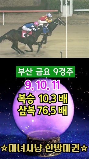 ☆마녀사냥 한방마권☆ 1월 셋째주 적중내역 -2