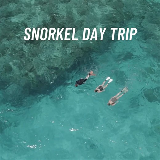 Experience an unforgettable Great Barrier Reef snorkel day trip from Cairns with the local experts at Divers Den! 錄 Enjoy two guided snorkel sessions with full gear and tuition included, a tropical buffet lunch, and up to five hours exploring the incredible reef. You’ll be blown away by the beauty of the Great Barrier Reef!  | Divers Den | Facebook