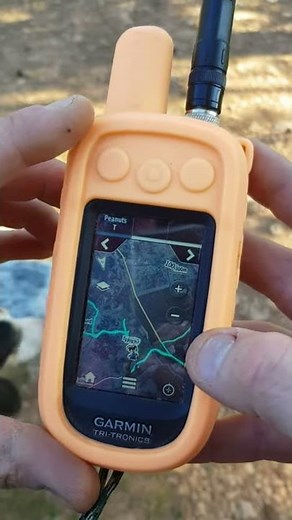 CARTE TOPO + CARTE SATELLITE HUNT VIEW sur votre centrale GARMIN ALPHA 100 chez NeA