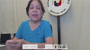 Increasing the number of non-working holiday would have negative effects on businesses, including employers having to pay 30 percent more to employees who would report to work, Sen. Cynthia Villar said Monday. | INQUIRER.net