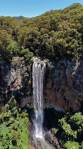 Cue the jaw drop - Purling Brook Falls is next-level stunning! 😍 Tucked in Springbrook National Park, this epic waterfall is a must-see on any Gold Coast trip. Take the 4km circuit for stunning rainforest views, cliffside drops, and that perfect rainbow shot. 🌈 🌲 4km return 🌲 Approx. 2hrs 🌲 Grade 3 📍Purling Brook Falls, Springbrook National Park 📸 IG/noursontour #GoldCoast #ExperienceGoldCoast #ThisIsQueensland #SeeAustralia #Nature [ID. Video shows a tall waterfall cascading down a steep
