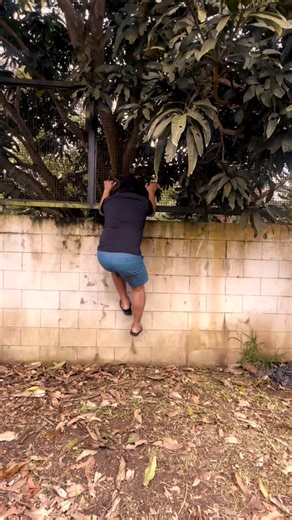 wrong house… 🏠 🐕☠️ | Dog Coach Francis