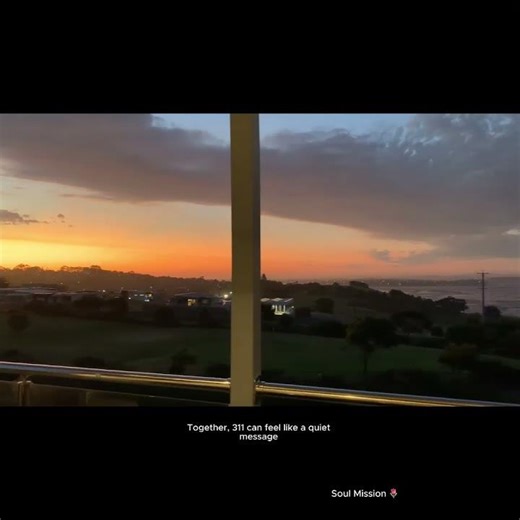 311 Portal - A Reminder to Trust Your Path