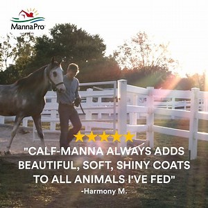 ⭐ ⭐ ⭐ ⭐ ⭐ Calf-Manna has been part of the community for over 80 years, helping your animals grow healthy and strong 🙌 The reviews are in, learn more here: https://bit.ly/2MXMaKV | Manna Pro Horse