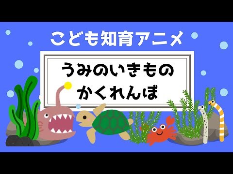 【うみのいきもの かくれんぼ】海の生き物がかくれているよ。どこにいるか見つけられるかな？☆幼児向けアニメ☆子供向けアニメ☆知育アニメ