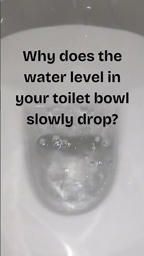 The Ultimate Toilet Repair Guide - Dropping Bowl Water Level #33