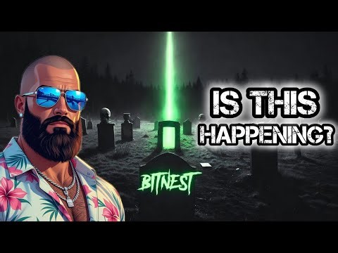 Is BitNest About To Pay us Back..?