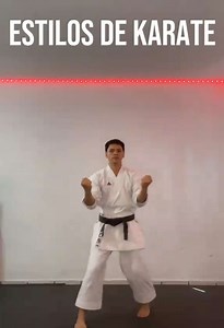 ¿Cuál es tu estilo? 🥋 #karate #kata #gojuryu #shitoryu #shotokan