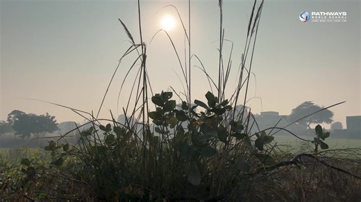 Guided by the IB principle of Service as Action, Pathways World School students turned empathy into impact through a blanket distribution drive at Project Concern International. A meaningful reminder that learning finds its truest purpose in compassion and community. #PathwaysWorldSchool #IBLearners #ServiceAsAction #CompassionInAction #GlobalCitizenship #LearningWithPurpose | Pathways World School