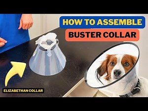 HOW TO ASSEMBLE A BUSTER COLLAR - ELIZABETHAN COLLAR- PET CONE