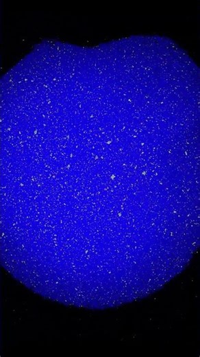 Primordial Convection #simulation #space #science #timelapse