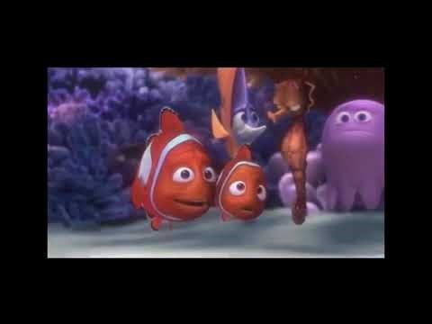Nemo baby crying in beds backwards