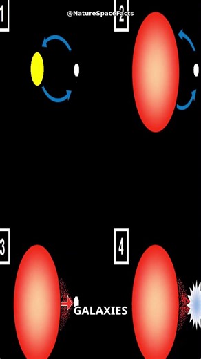Why Some Stars Explode and Others Just Vanish