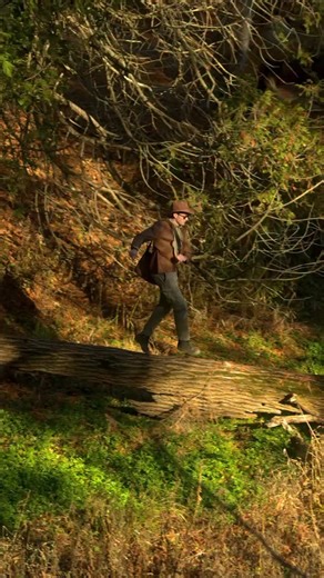 1.2K views · 14 reactions | Five legendary chairs are back on the map They make their return at midnight on Black Friday. Don’t miss it! | Vyper Chair | Facebook