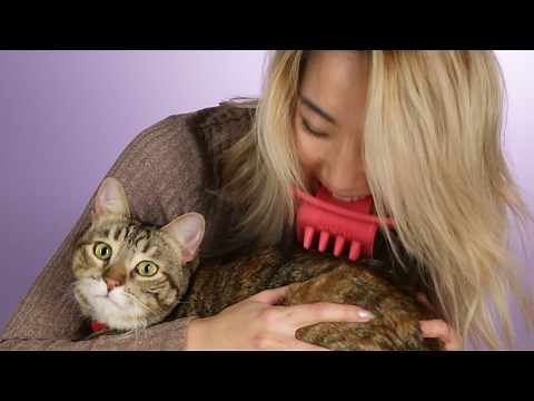 People Lick Their Cats With The Licki Brush