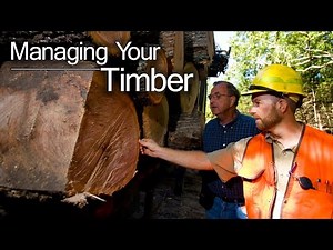 MANAGING YOUR TIMBER