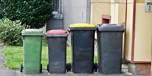 Gelbe, blaue oder graue Tonne? Mülltrennung in Deutschland - PASCH-Initiative