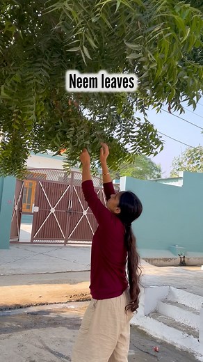 162 reactions · 3 comments | Desi solution for scalp problems 朗 . . . Dandruff , itching in scalp , inflammation in scalp , hairfall , lice etc all can cure by this desi solution …. Just use this straight for atleast 30 days and just trust me expensive treatments cannot beat this solution  . .and follow @healthy_tipswithme for such simple and effective solutions #desisolutionforhair #lice #dandruff | Mansi Sharma | Facebook