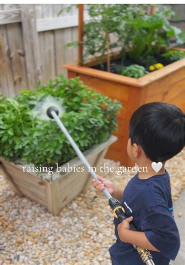 A little throwback 🤍 My little helper since he could crawl - watering, harvesting, and restocking our personal home stash. The herbs we grow here are the same ones thoughtfully used in many of our teas, salves, tallow, and even the herb butter we churn — and the ones we cook with daily in our own kitchen. MSH Gardener’s was built right here in the backyard, with little hands helping along the way. We’re already counting down the days until our first spring harvest 🌿 #smallbuisness #gardentok #
