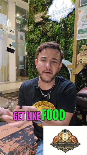 Is your cat acting like *they* run the house? One person learned that controlling access to food can shift the dynamic. Cats in the wild don't eat every two hours. Periodic feeding can lead to a happier, more affectionate cat. #CatFacts #CatBehavior #PetTips #HappyCat #CatOwner #AnimalFacts | Designer Bengal Singapore | Facebook