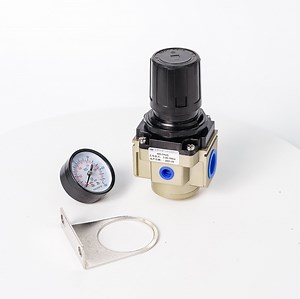 [Hot Item] 495 Series G1" Pressure Relieving Valve