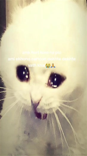 Aaaaaaa-!😭