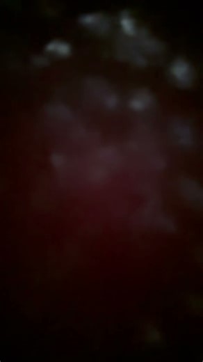 I forgot to stop recording