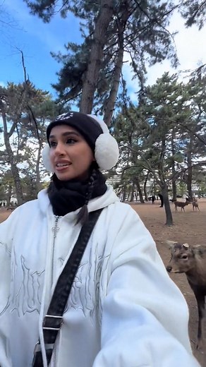 4.9K views · 140 reactions | Feeding wild deer in Japan @ Nara Park , Japan 歷 #narapark #naradeerpark #deerpark #japan #japant | Jessie Carr | Facebook