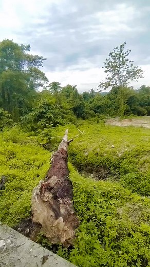 Ke isengan Gowes Pagi hari ini