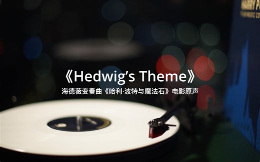 【黑胶】《Hedwig's Theme海德薇变奏曲》——《哈利·波特》经典原声