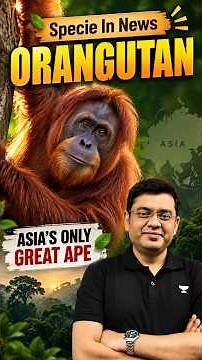 Orangutan: Asia’s Only Great Ape 🦧 | 3 Species, IUCN Status | UPSC Shorts | Mukesh Jha