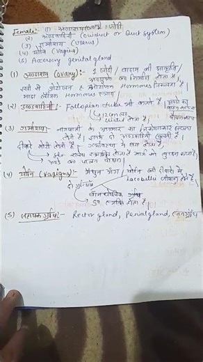 Human Reproductive System(Male&Female)