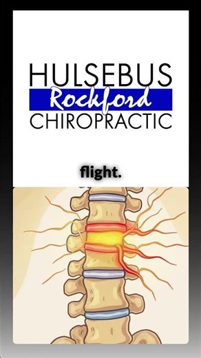 Understanding Subluxations and Adjustments