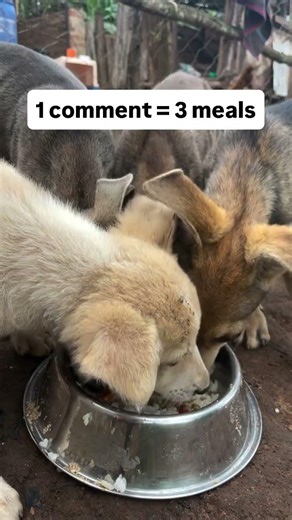 #helping 1 donations my friend give me some money please 🙏🙏 #helping #generous #dedicate #receive