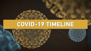 394K views · 2.6K reactions | The current timeline for the #COVID19...