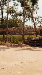 Lead with Trust: 3 Steps to Global Success . Unlock global leadership...