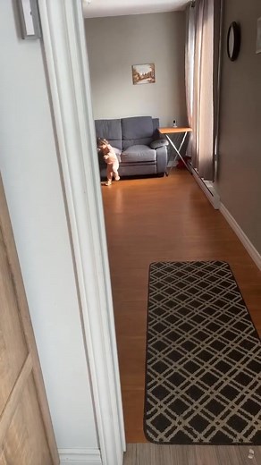 Elle ressemble peut-être énormément à maman mais je peux vous garantir qu'elle a la parlotte facile à papa à journée longue. Je sais pas ce qu'elle raconte à son mushum mais c'est assez intense 🤣 | Jonathan Germain